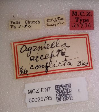 Media type: image;   Entomology 25735 Aspect: labels